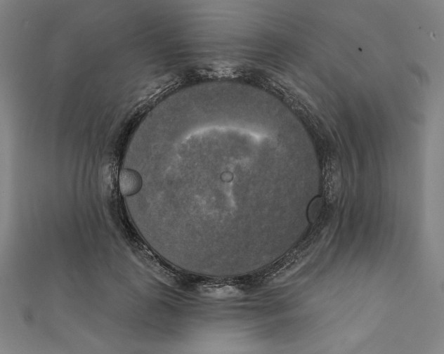 X0000111480747200908111201