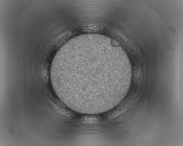 X0000111480749200908111201