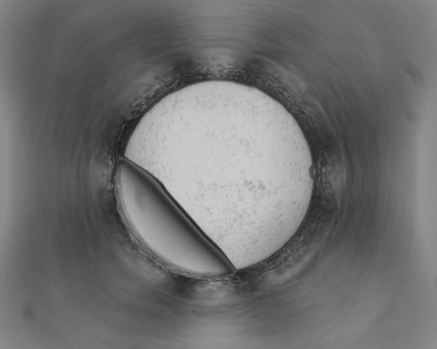 X0000111480750200908111201