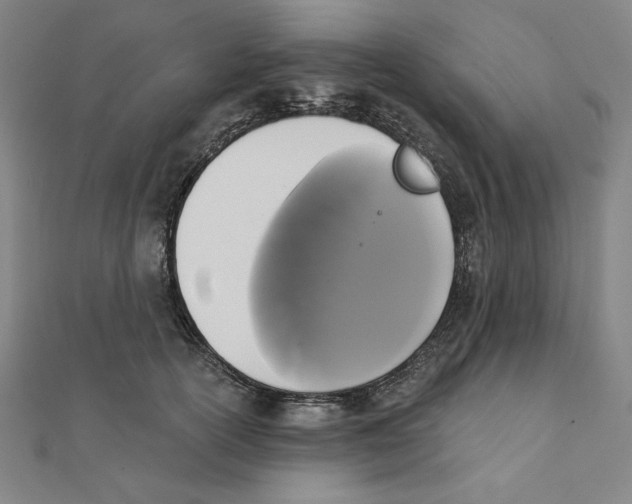 X0000111480754200908111201