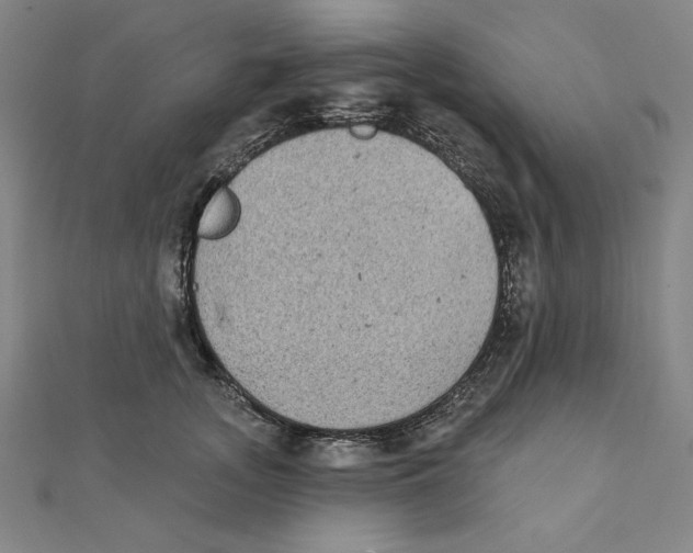 X0000111480755200908111201