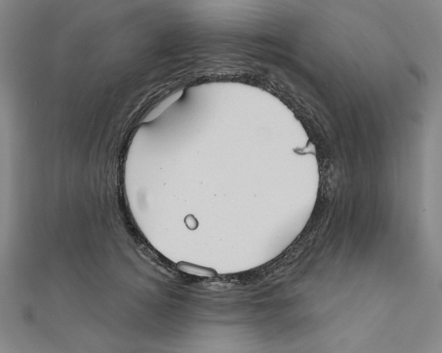 X0000111480756200908111201