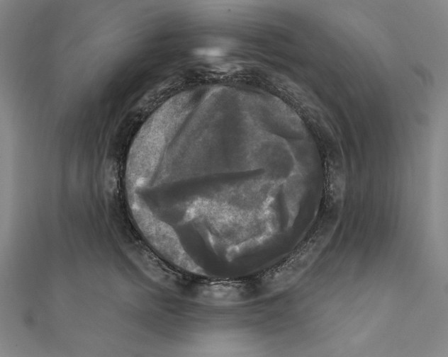 X0000111480758200908111201