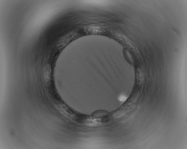 X0000111480760200908111201