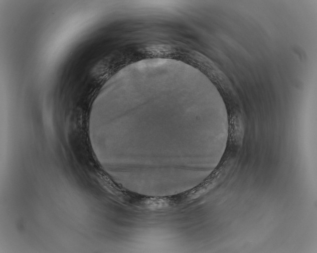 X0000111480762200908111201