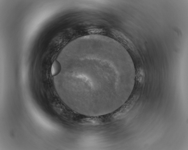 X0000111480763200908111201