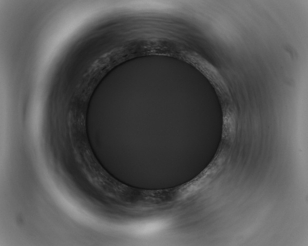 X0000111480765200908111201