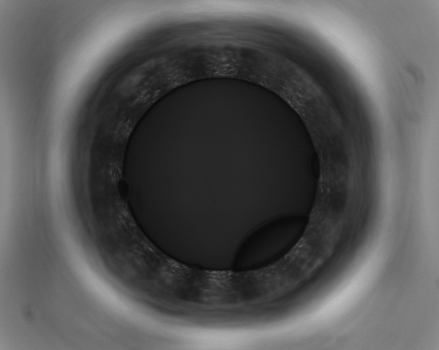X0000111480766200908111201