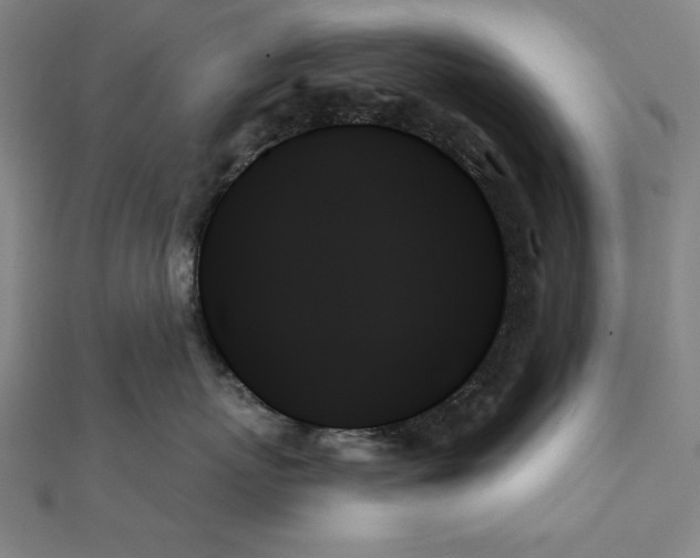 X0000111480767200908111201