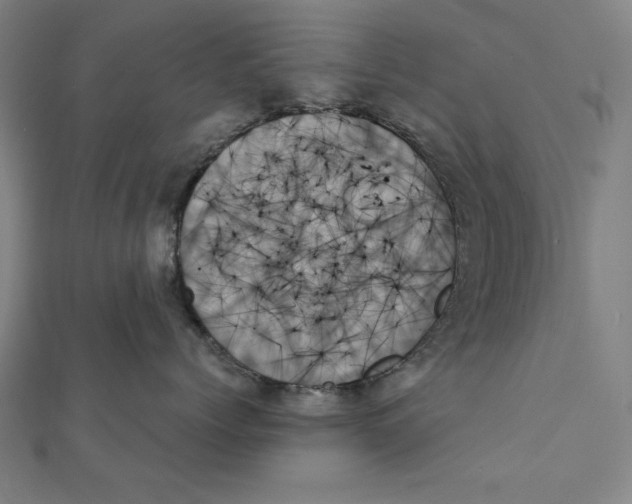 X0000111480768200908111201