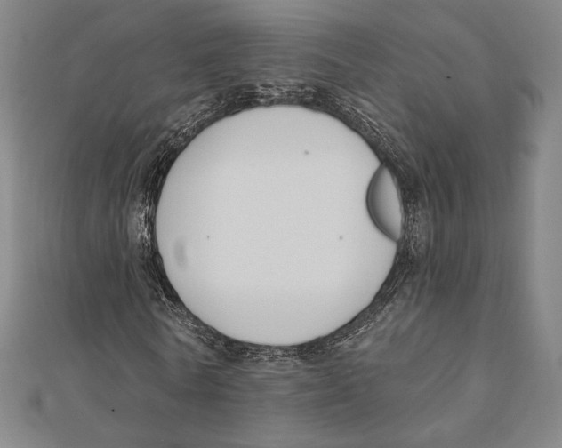X0000111480770200908111200