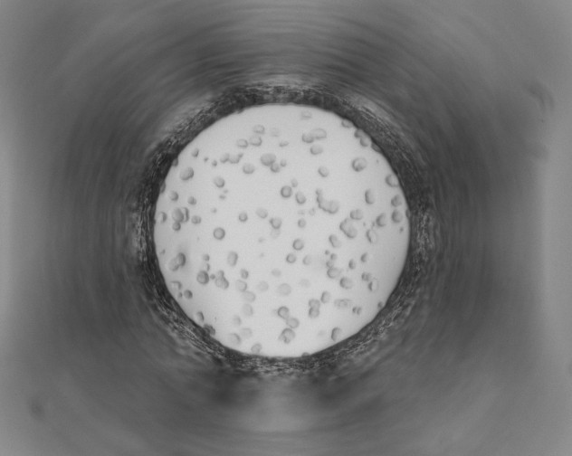 X0000111480774200908111200