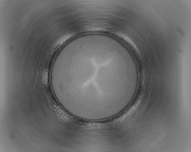 X0000111480777200908111200