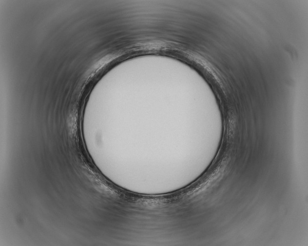 X0000111480778200908111200