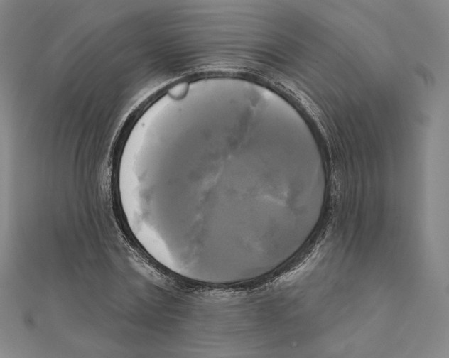 X0000111480779200908111200