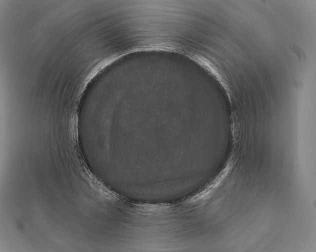 X0000111480781200908111200