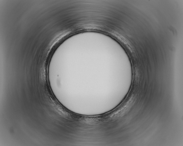 X0000111480782200908111200