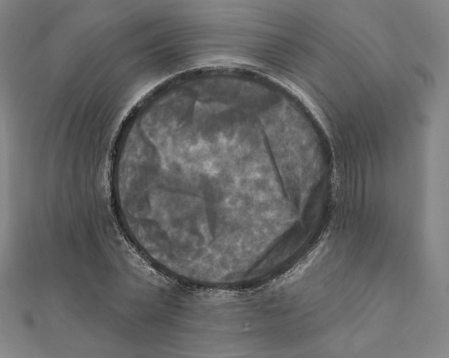 X0000111480783200908111200