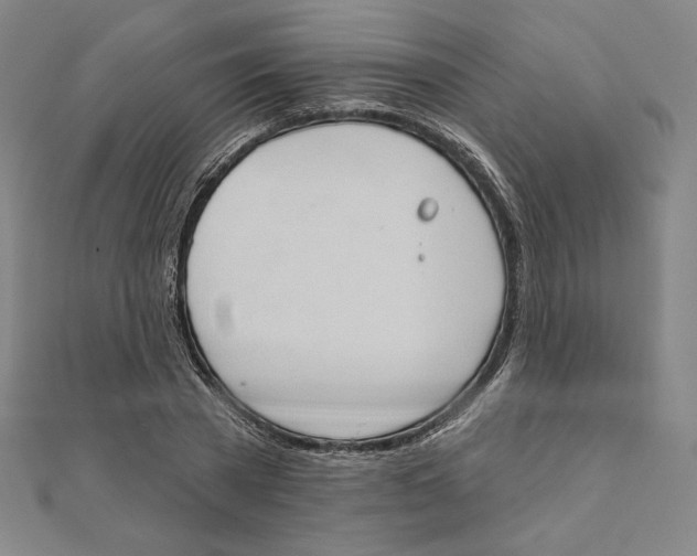 X0000111480785200908111200