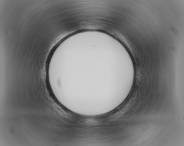 X0000111480787200908111200