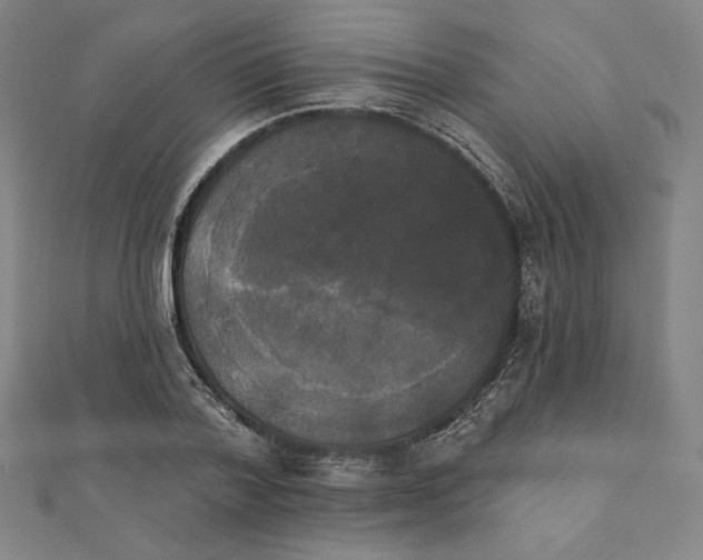 X0000111480788200908111200