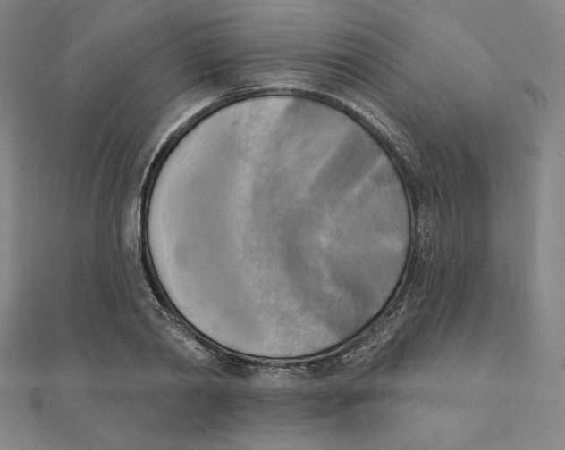 X0000111480790200908111200