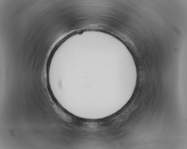 X0000111480792200908111200