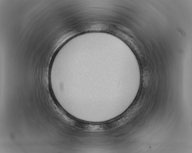 X0000111480794200908111200