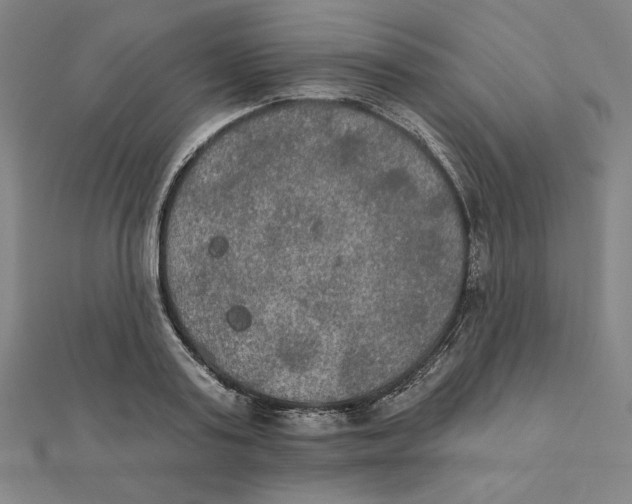 X0000111480795200908111200