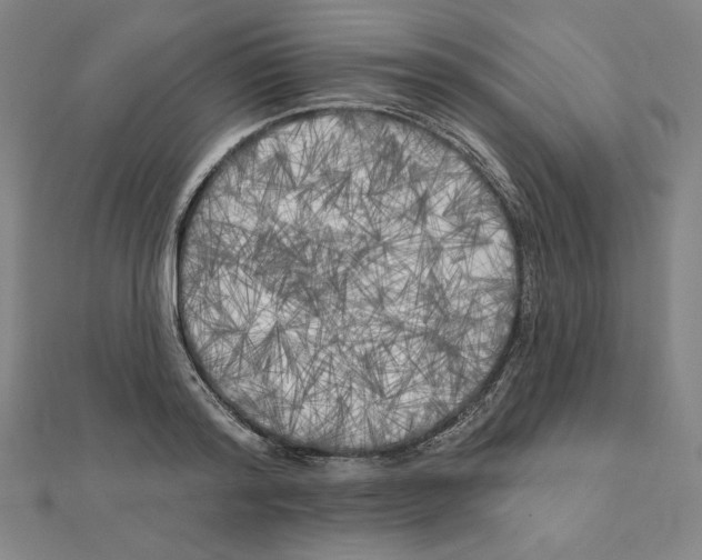 X0000111480796200908111200