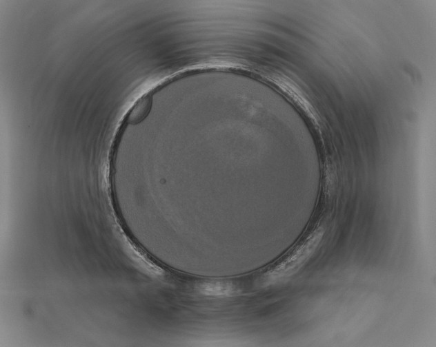 X0000111480797200908111200