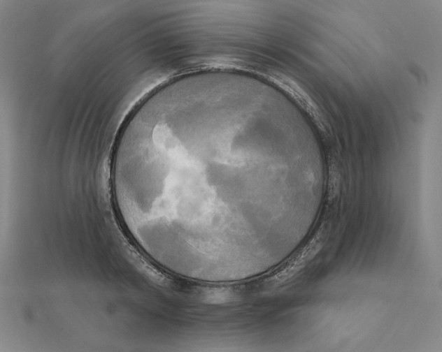 X0000111480798200908111200