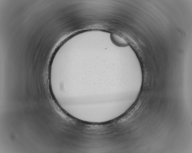 X0000111480800200908111200