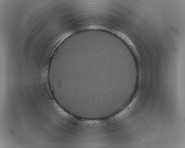 X0000111480801200908111200