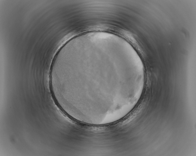 X0000111480802200908111200