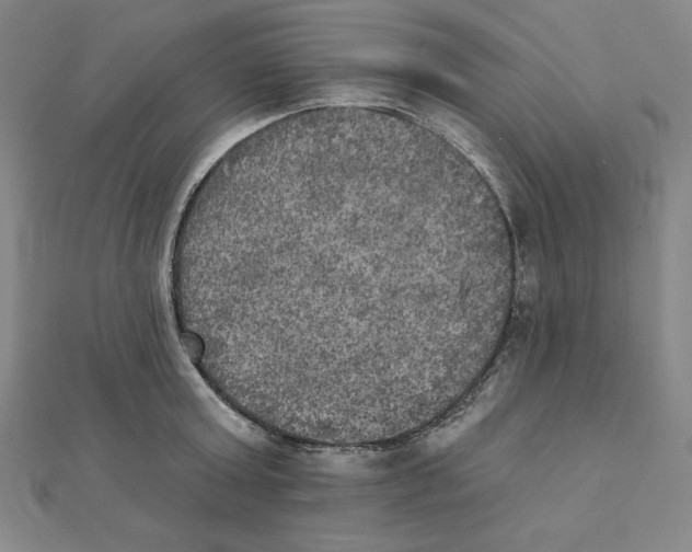 X0000111480803200908111200