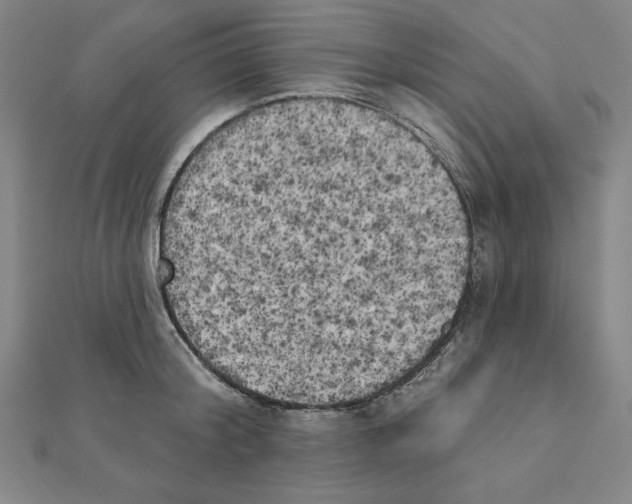 X0000111480804200908111200