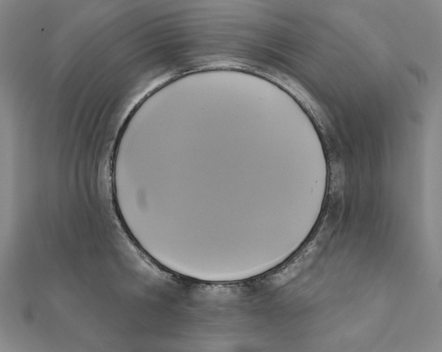 X0000111480806200908111200