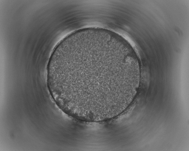 X0000111480807200908111200