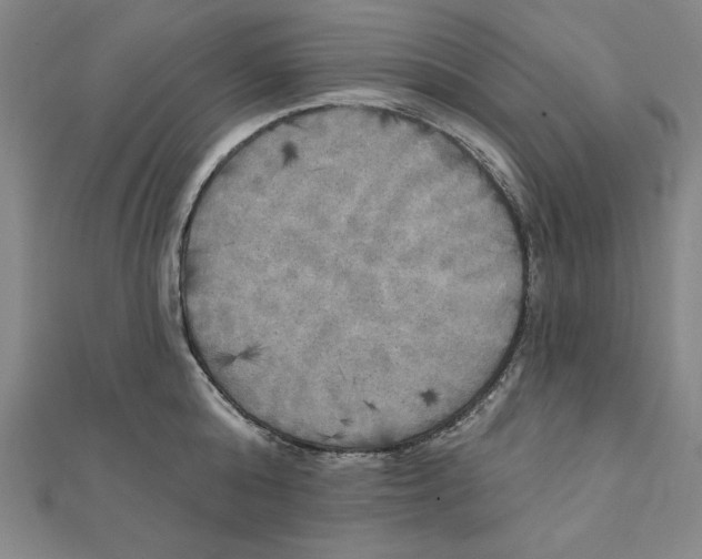 X0000111480808200908111200