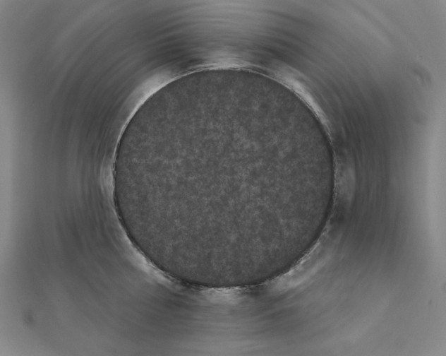 X0000111480810200908111200