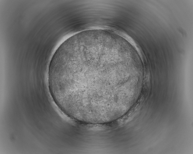 X0000111480811200908111200