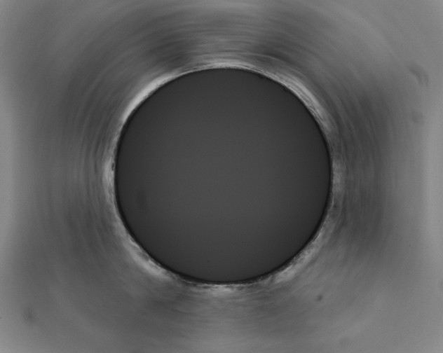 X0000111480814200908111200