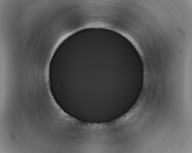 X0000111480815200908111200