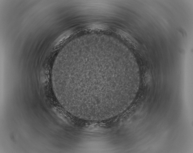 X0000111480824200908111159