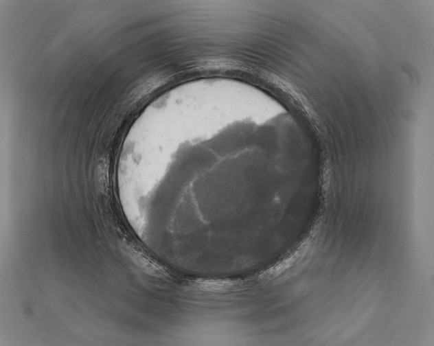 X0000111480825200908111159