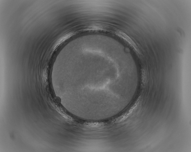 X0000111480826200908111159