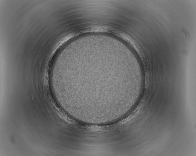 X0000111480827200908111159