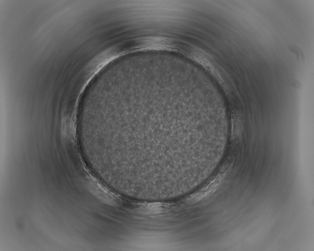 X0000111480828200908111159