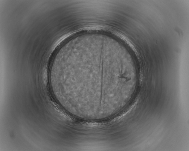 X0000111480829200908111159